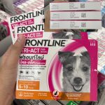 Frontline Short Expire