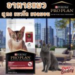 อาหารแมว Purina PRO PLAN® 1.5 กก. สูตร แมวโต สูตรปลาแซลมอน Adult Salmon