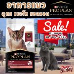 Sale Proplan Adult Salmon Short Expire 2026-04