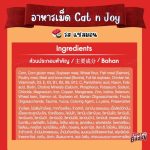 CAT n joy Triple Protection สูตรแมวโต 9kg รสแซลมอน - Image 4