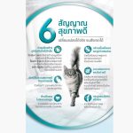 [แบบซอง] เพียวริน่า วัน อาหารเปียกแมว Purina ONE ลูกแมว แมวโต แมวเลี้ยงในบ้าน ยูรินารี่ แคร์ 70 กรัม x 1 ซอง - Image 3