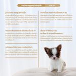 SmartHeart Gold INDOOR อาหารลูกสุนัข พันธุ์เล็ก 1 กก. สมาร์ทฮาร์ท โกลด์ อินดอร์  /  Puppy Small Breed - Image 6