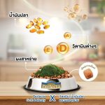 [ถุง 1 kg] Perfecta Soft & Meaty อาหารสุนัขเม็ดนุ่ม สำหรับสุนัขกินยาก เบื่ออาหาร (เพอร์เฟคต้า ซอฟท์แอนด์มีทตี้) - Image 8