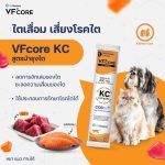 วิตามินรูปแบบเลีย VF+ core สำหรับสุนัขและแมว แมวเลีย สุนัขเลีย หมาเลีย เสริมภูมิ L-lysine RB Joint - Image 7