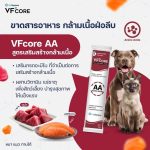 วิตามินรูปแบบเลีย VF+ core สำหรับสุนัขและแมว แมวเลีย สุนัขเลีย หมาเลีย เสริมภูมิ L-lysine RB Joint - Image 4