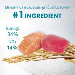 อาหารแมว Purina One 6.6 กก. สูตร Healthy Adult แซลมอนและทูน่า ถุงใหญ่ - Image 5