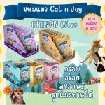[ยกกล่อง] CAT n joy Crispy Bites (60g x8) ขนมแมวกรุบกรอบ แคทเอ็นจอย บำรุงขน มีสูตรลูกแมว รสทูน่า แซลมอน ซีฟู้ด