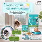 อาหารแมว Purina One 6.6 กก. สูตร Indoor แมวเลี้ยงในบ้าน ถุงใหญ่ - Image 3
