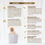 SmartHeart Gold INDOOR อาหารสุนัขพันธุ์เล็ก 1 กก. สมาร์ทฮาร์ท โกลด์ อินดอร์  /  ADULT Small Breed - Image 3