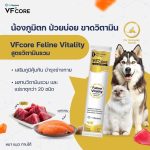 วิตามินรูปแบบเลีย VF+ core สำหรับสุนัขและแมว แมวเลีย สุนัขเลีย หมาเลีย เสริมภูมิ L-lysine RB Joint - Image 6