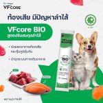 วิตามินรูปแบบเลีย VF+ core สำหรับสุนัขและแมว แมวเลีย สุนัขเลีย หมาเลีย เสริมภูมิ L-lysine RB Joint - Image 5