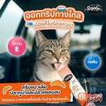 ยกกล่อง Regalos Party Mix ขนมแมวเลีย แบบกล่อง 12 ถุง 60 ซอง ผสมวิตามิน โอเมก้า3 ทอรีน คละรสชาติ - Image 3