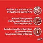 CAT n joy Triple Protection สูตรแมวโต 9kg รสแซลมอน - Image 2