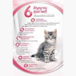 [แบบซอง] เพียวริน่า วัน อาหารเปียกแมว Purina ONE ลูกแมว แมวโต แมวเลี้ยงในบ้าน ยูรินารี่ แคร์ 70 กรัม x 1 ซอง - Image 2