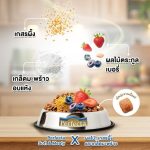 [ถุง 1 kg] Perfecta Soft & Meaty อาหารสุนัขเม็ดนุ่ม สำหรับสุนัขกินยาก เบื่ออาหาร (เพอร์เฟคต้า ซอฟท์แอนด์มีทตี้) - Image 7