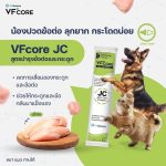 วิตามินรูปแบบเลีย VF+ core สำหรับสุนัขและแมว แมวเลีย สุนัขเลีย หมาเลีย เสริมภูมิ L-lysine RB Joint - Image 8