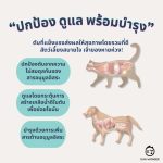 SUN WONDER VITALITY PILL POCKET อาหารเสริมบำรุงตับช่วยป้อนยา ซ่อนยา สำหรับสุนัข แมว - Image 4