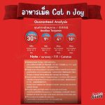 CAT n joy Triple Protection สูตรแมวโต 4kg รสแซลมอน - Image 3