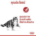 Royal Canin Urinary Care Pouch โรยัล คานิน อาหารเปียก กล่อง 12 ซอง แมวโต 1 ปีขึ้นไป สูตรดูแลทางเดินปัสสาวะ Urinary Care - Image 2