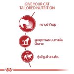 Royal Canin Instinctive Pouch โรยัล คานิน อาหารเปียก แมวโต อายุ 1 ปีขึ้นไป (1 ซอง) สูตรความน่ากินสูง รูปร่างดี - Image 2