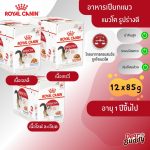 Royal Canin Instinctive Pouch โรยัล คานิน อาหารเปียก แมวโต อายุ 1 ปีขึ้นไป (กล่อง 12 ซอง) สูตรความน่ากินสูง รูปร่างดี