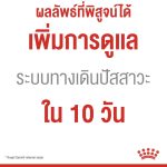 Royal Canin Urinary Care Pouch โรยัล คานิน อาหารเปียก กล่อง 12 ซอง แมวโต 1 ปีขึ้นไป สูตรดูแลทางเดินปัสสาวะ Urinary Care - Image 3