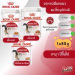 Royal Canin Instinctive Pouch โรยัล คานิน อาหารเปียก แมวโต อายุ 1 ปีขึ้นไป (1 ซอง) สูตรความน่ากินสูง รูปร่างดี