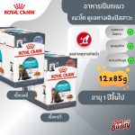 Royal Canin Urinary Care Pouch โรยัล คานิน อาหารเปียก กล่อง 12 ซอง แมวโต 1 ปีขึ้นไป สูตรดูแลทางเดินปัสสาวะ Urinary Care