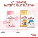 Royal Canin Kitten (โรยัล คานิน) อาหารเม็ด ขนาดถุง 400 กรัม สำหรับลูกแมว อายุ 4 - 12 เดือน ถุงเล็ก - Image 6