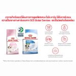 Royal Canin Kitten (โรยัล คานิน) อาหารเม็ด ขนาดถุง 400 กรัม สำหรับลูกแมว อายุ 4 - 12 เดือน ถุงเล็ก - Image 7
