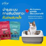 Pramy Carnivore อาหารเม็ดแมวพรามี่ สูตรเน้นเนื้อแท้ โปรตีนสูง เสริมสร้างสุขภาพแบบรอบด้าน ขนาด 800g - 1kg - Image 6