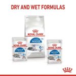 Royal Canin Indoor 7+ Pouch (โรยัล คานิน) อาหารเปียกสำหรับแมวสูงวัย เลี้ยงในบ้าน อายุ 7 ปีขึ้นไป แบ่งขาย 1 ซอง - Image 8