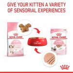 Royal Canin Kitten Pouch (โรยัล คานิน) อาหารเปียกสำหรับลูกแมว อายุ 4 - 12 เดือน แบ่งขาย 1 ซอง - Image 3
