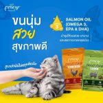 Pramy Carnivore อาหารเม็ดแมวพรามี่ สูตรเน้นเนื้อแท้ โปรตีนสูง เสริมสร้างสุขภาพแบบรอบด้าน ขนาด 800g - 1kg - Image 7