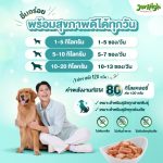 อาหารเปียก Jerhigh Multipack เจอร์ไฮ มัลติแพ็ค เพาซ์ อิน เกรวี่ บรรจุ 1 แพ็ค 4 ซอง 4 รสชาติ - Image 5