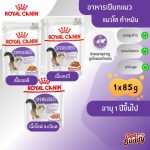 Royal Canin Sterilised Pouch (โรยัล คานิน) อาหารเปียกสำหรับแมวโตทำหมัน อายุ 1 ปีขึ้นไป แบ่งขาย 1 ซอง