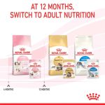Royal Canin Kitten Pouch 12 ซอง (โรยัล คานิน) อาหารเปียกสำหรับลูกแมว อายุ 4 - 12 เดือน - Image 6