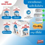 Royal Canin Indoor Pouch 12 ซอง (โรยัล คานิน) อาหารเปียกสำหรับแมวโตเลี้ยงในบ้าน อายุ 1 ปีขึ้นไป