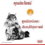 Royal Canin Hair & Skin Care Pouch (โรยัล คานิน)  อาหารเปียก แมวโต อายุ 1 ปีขึ้นไป ดูแลสุขภาพผิวหนัง เส้นขน แบ่งขาย - Image 2