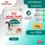 Royal Canin Instinctive 7+ Gravy (โรยัล คานิน) อาหารเปียก แมวสูงวัย อายุ 7 ปีขึ้นไป สูตรดูแลแมวสูงวัย น่ากิน แบ่งขาย