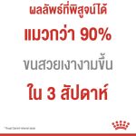 Royal Canin Hair & Skin Care Pouch 12 (โรยัล คานิน)  อาหารเปียก แมวโต อายุ 1 ปีขึ้นไป ดูแลสุขภาพผิวหนัง เส้นขน - Image 3