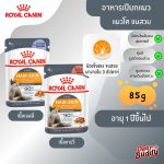 Royal Canin Hair & Skin Care Pouch (โรยัล คานิน)  อาหารเปียก แมวโต อายุ 1 ปีขึ้นไป ดูแลสุขภาพผิวหนัง เส้นขน แบ่งขาย