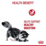 Royal Canin Digestive Care Pouch ขนาด 85 กรัม 12 ซอง (โรยัล คานิน) อาหารเปียก แมวโต อายุ 1-7 ปี สูตรดูแลระบบย่อยอาหาร - Image 4