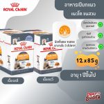 Royal Canin Hair & Skin Care Pouch 12 (โรยัล คานิน)  อาหารเปียก แมวโต อายุ 1 ปีขึ้นไป ดูแลสุขภาพผิวหนัง เส้นขน