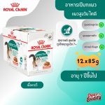 Royal Canin Instinctive 7+ Gravy กล่อง 12 ซอง (โรยัล คานิน) อาหารเปียก แมวสูงวัย อายุ 7 ปีขึ้นไป สูตรดูแลแมวสูงวัยน่ากิน