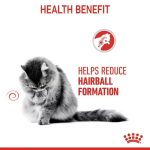 Royal Canin Hairball Care ยกกล่อง 12 ซอง (โรยัล คานิน) อาหารเปียกสำหรับแมวโต อายุ 1 ปีขึ้นไป สูตรดูแลปัญหาก้อนขน - Image 3