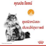 Royal Canin Hair & Skin Care Pouch 12 (โรยัล คานิน)  อาหารเปียก แมวโต อายุ 1 ปีขึ้นไป ดูแลสุขภาพผิวหนัง เส้นขน - Image 2