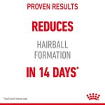 Royal Canin Hairball Care ยกกล่อง 12 ซอง (โรยัล คานิน) อาหารเปียกสำหรับแมวโต อายุ 1 ปีขึ้นไป สูตรดูแลปัญหาก้อนขน - Image 4