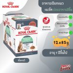 Royal Canin Digestive Care Pouch ขนาด 85 กรัม 12 ซอง (โรยัล คานิน) อาหารเปียก แมวโต อายุ 1-7 ปี สูตรดูแลระบบย่อยอาหาร