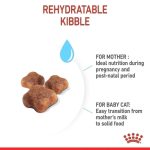 Royal Canin Mother & Babycat ขนาด 400 กรัม (โรยัล คานิน) อาหารเม็ดสำหรับแม่แมวตั้งท้องให้นม และลูกแมวหย่านม-4 เดือน - Image 3